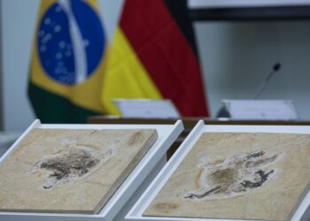Brasil quer recuperar dinossauros e patrimônios espalhados por 14 país