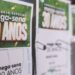Mega 30 anos sorteia prêmio especial de R$ 300 milhões neste domingo